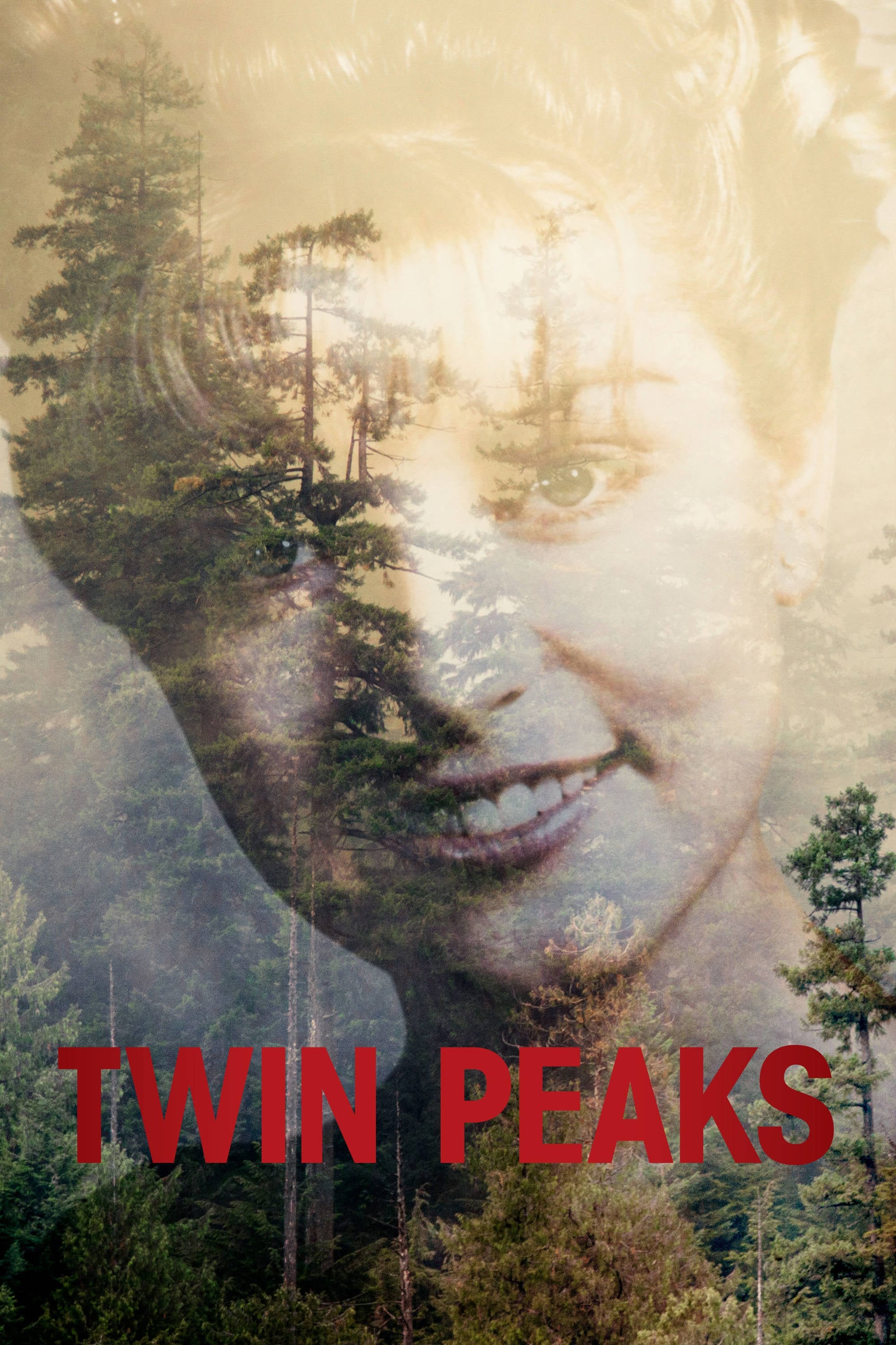 Twin Peaks - Season 3 [81677] (A1719898503) [[Shows]] --Plex--